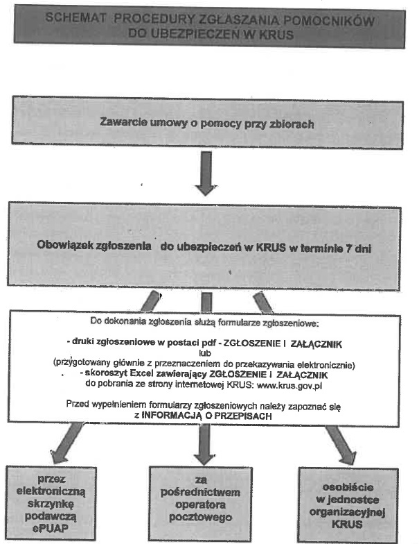 Ubezpieczenie pomocnika rolnika