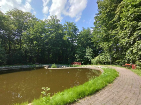 INFORMACJA W SPRAWIE USUWANIA DRZEW