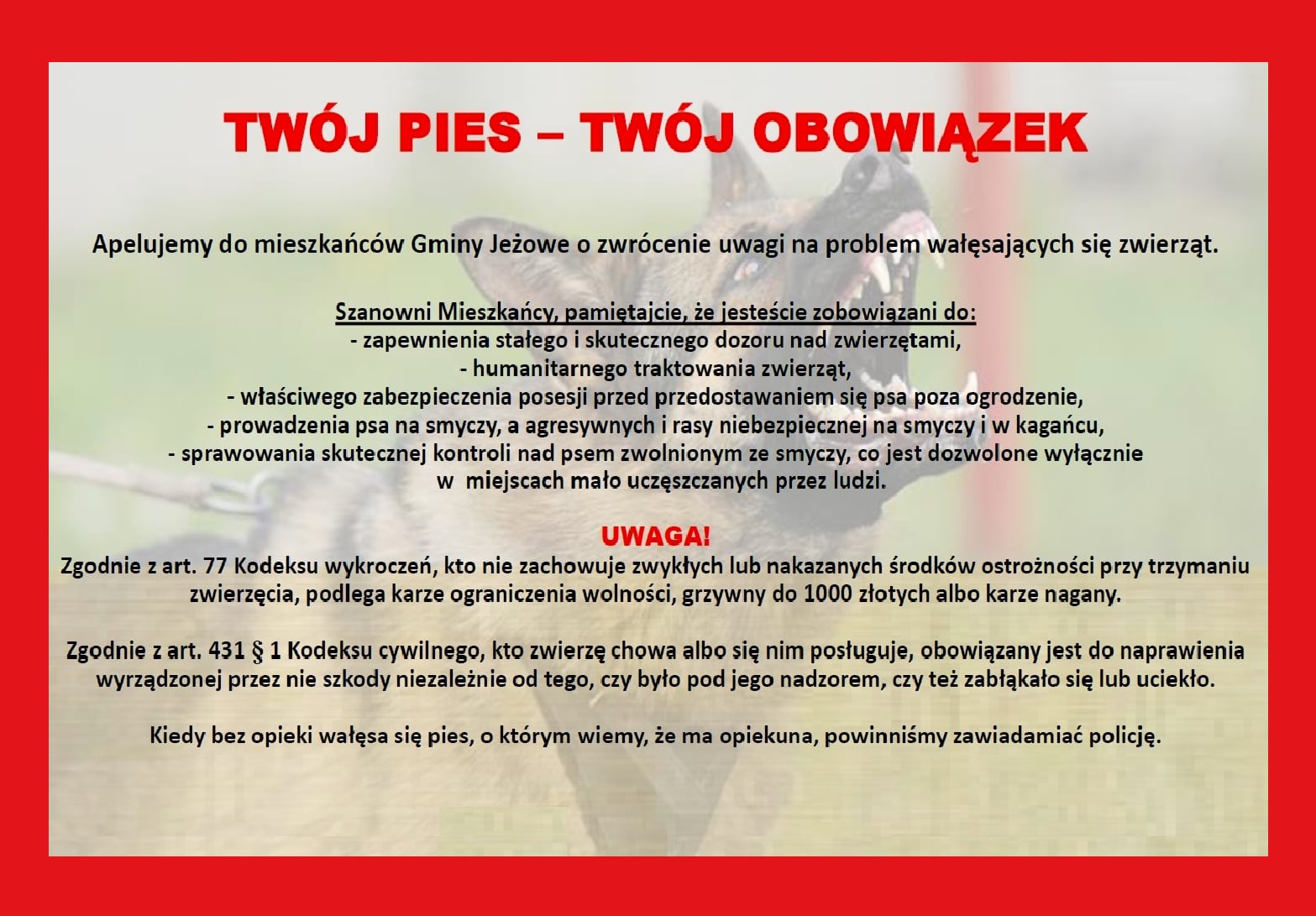 Twój pies - Twój obowiązek!