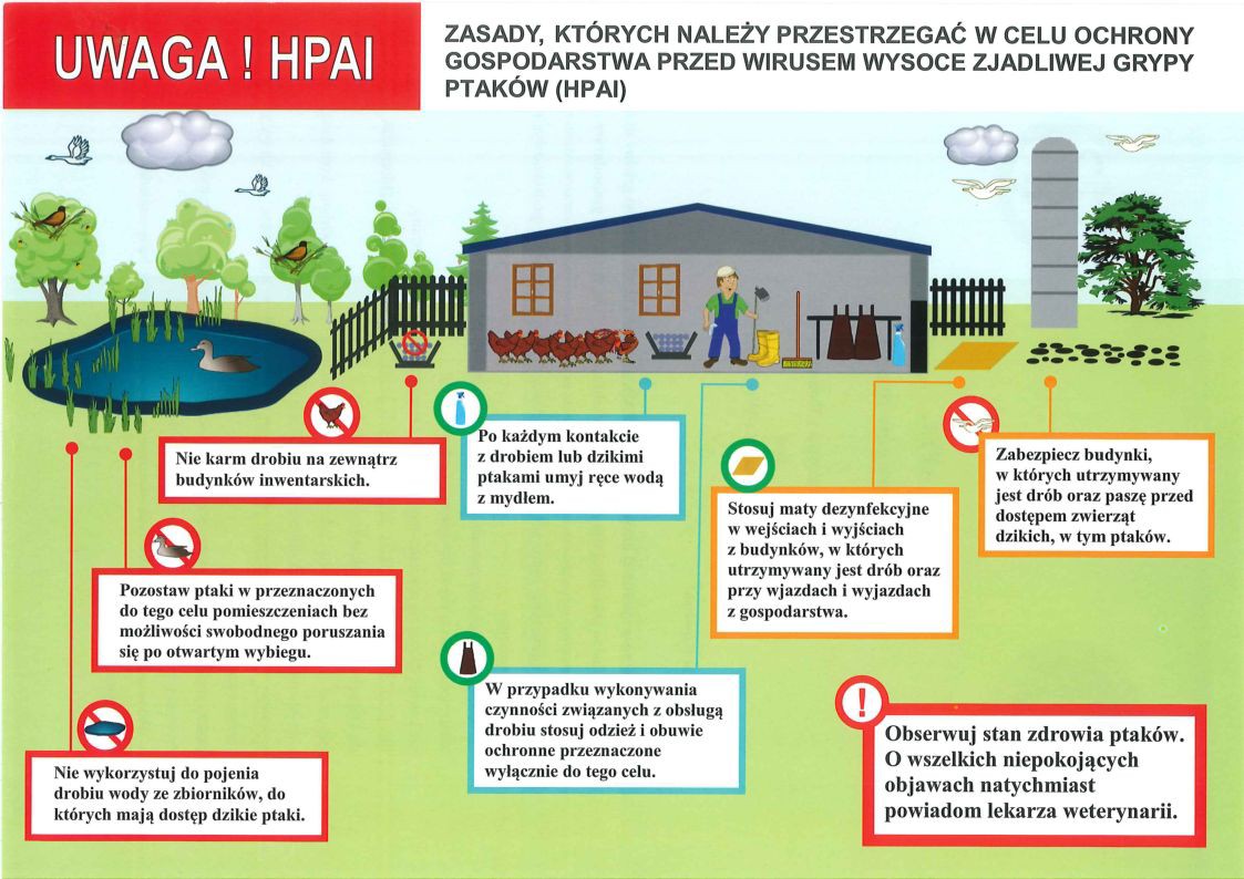 Apel do hodowców drobiu - ptasia grypa