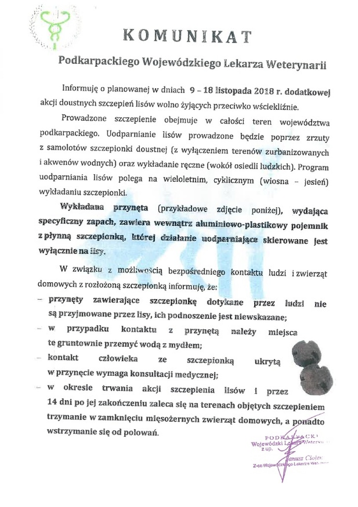 Uwaga - szczepienie lisów