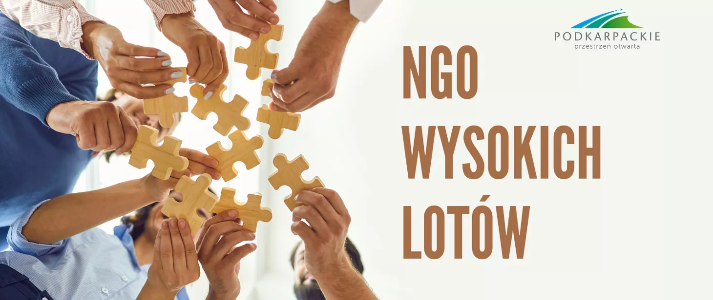 Konkurs o Nagrodę Marszałka Województwa Podkarpackiego "NGO Wysokich Lotów"