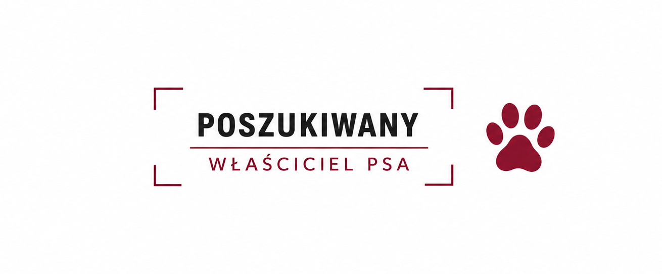 Poszukujemy właściciela zabłąkanego psa