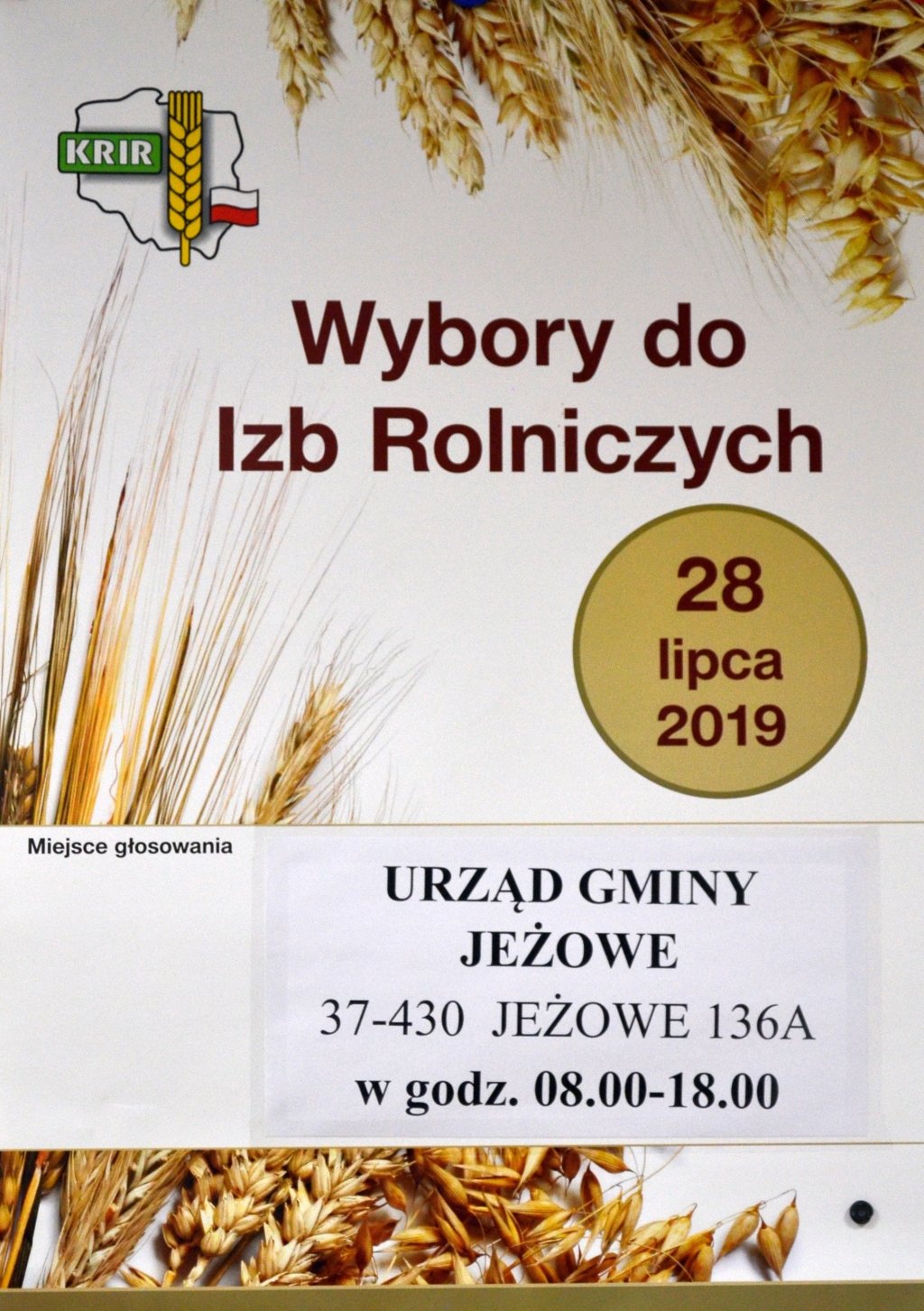 izby 2019