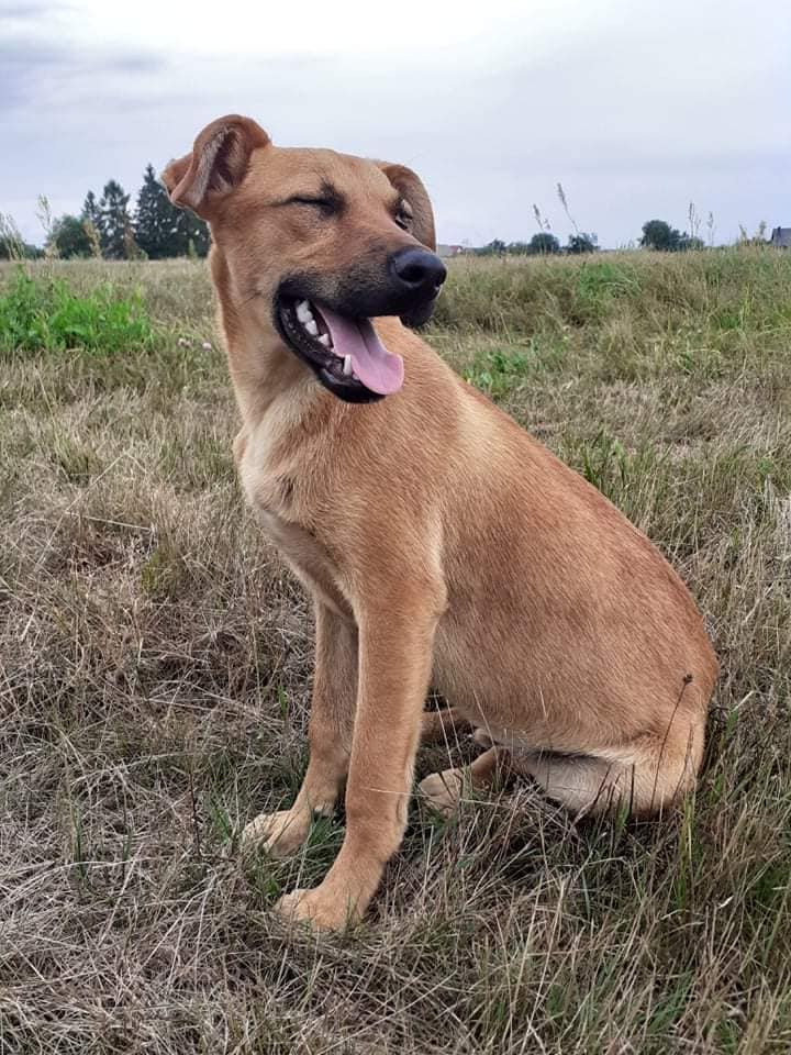 229591585 4181561145291137 3706752542284475917 n